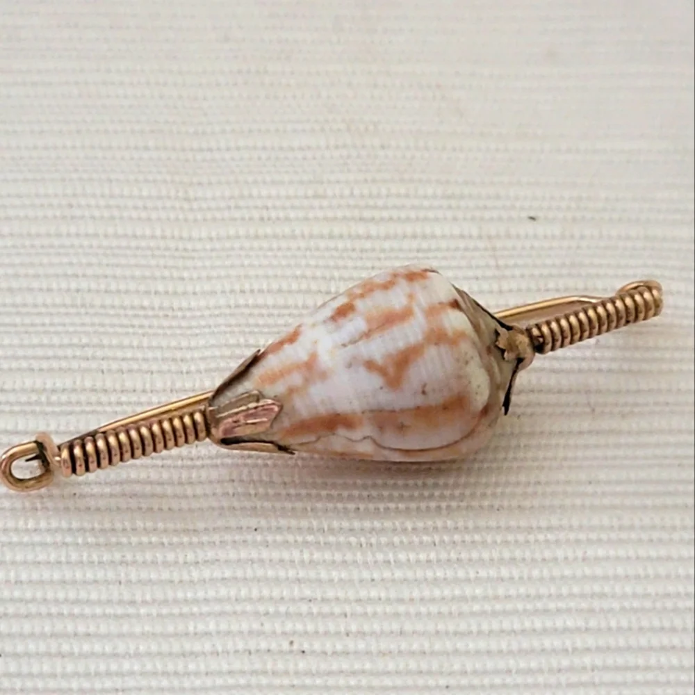 Vintage Shell Broach & Rare shells - Picture 3 of 6